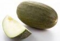 melon pele de sapo